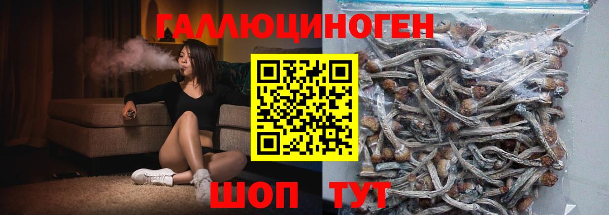 Псилоцибиновые грибы MAGIC MUSHROOMS  Вход с VPN  Белорецк  закладка  Галлюциногенные грибы мицелий 
